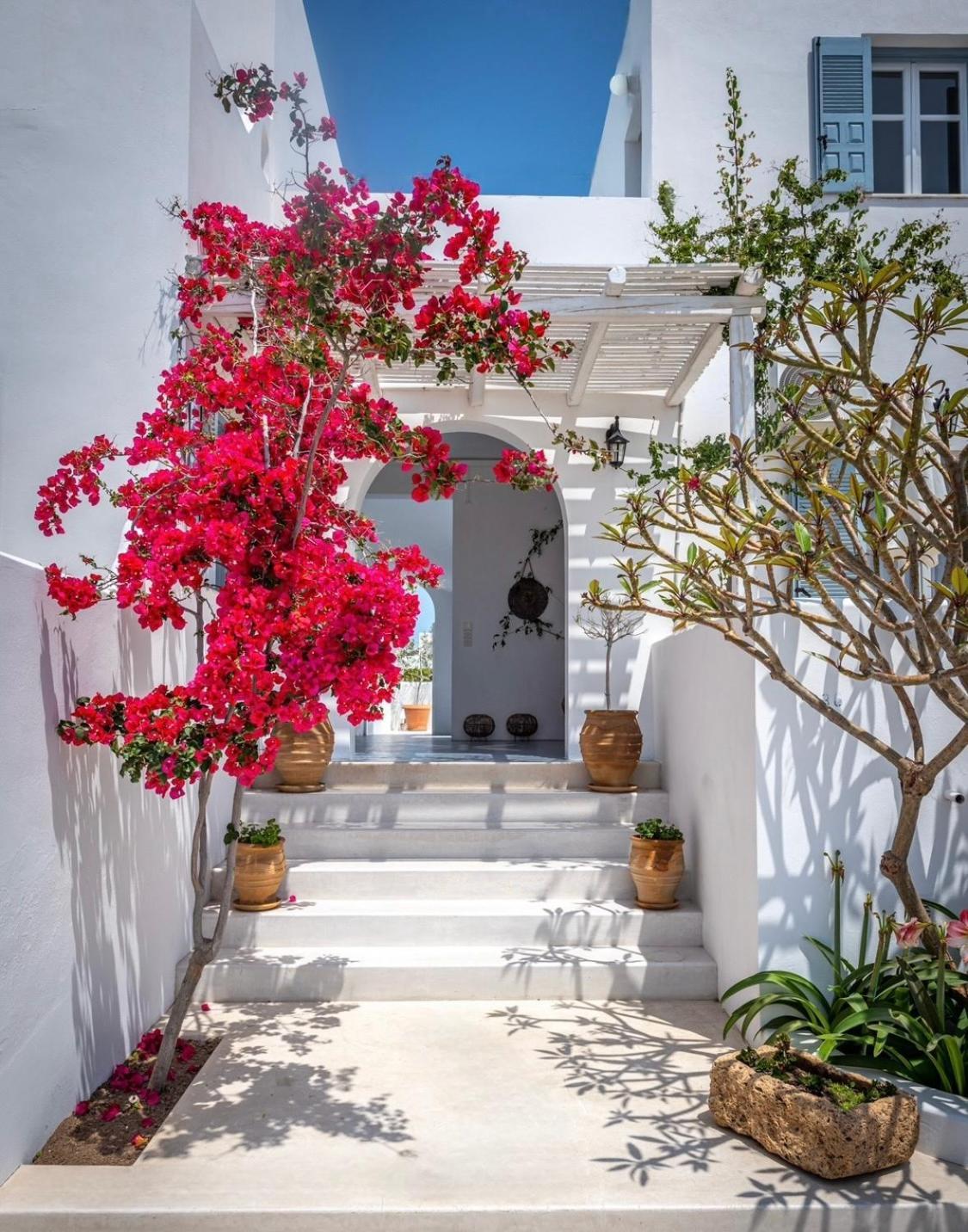 Anita Rooms & Suites Milos Adamantas (Milos) Exterior foto