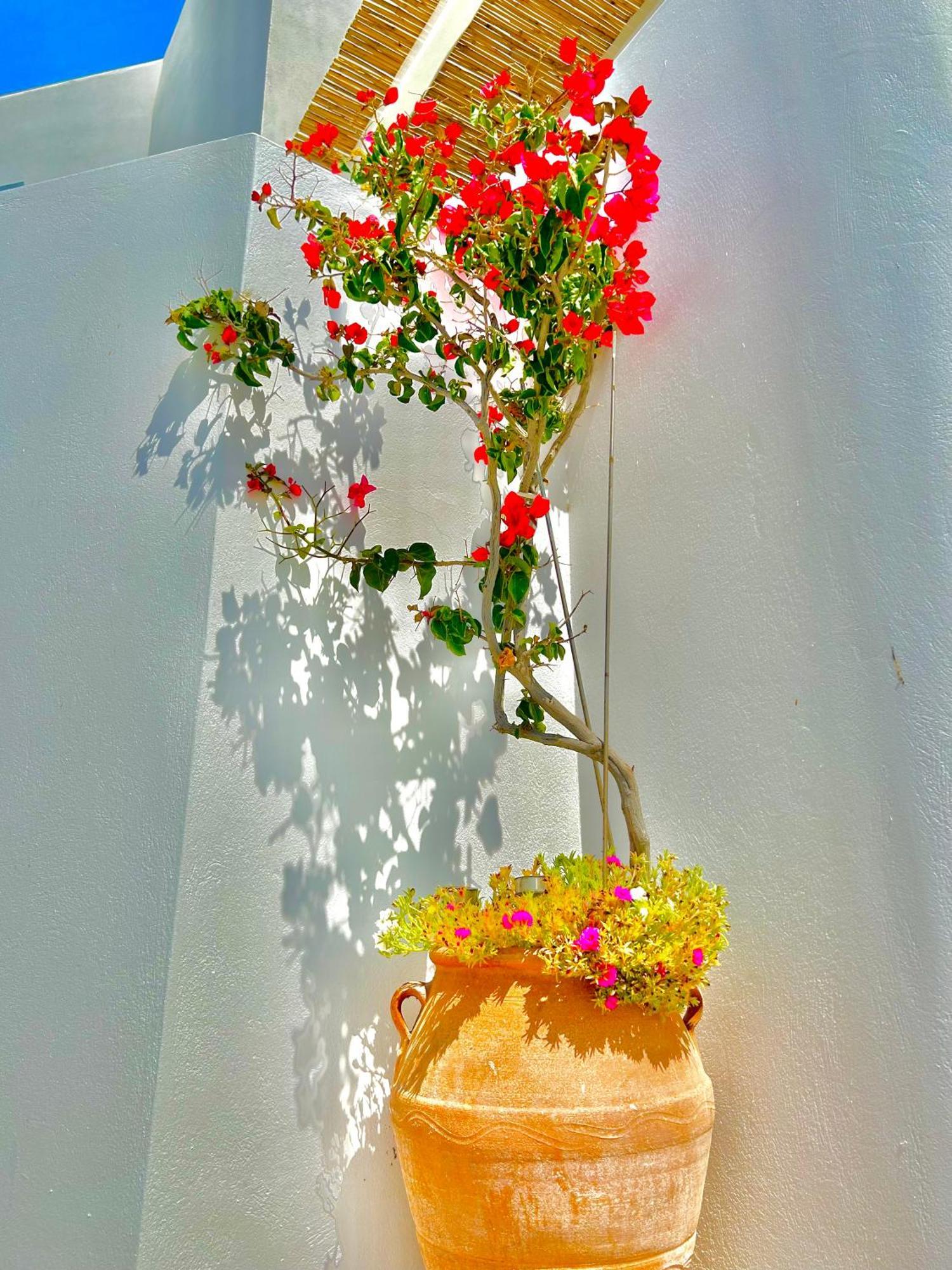 Anita Rooms & Suites Milos Adamantas (Milos) Exterior foto
