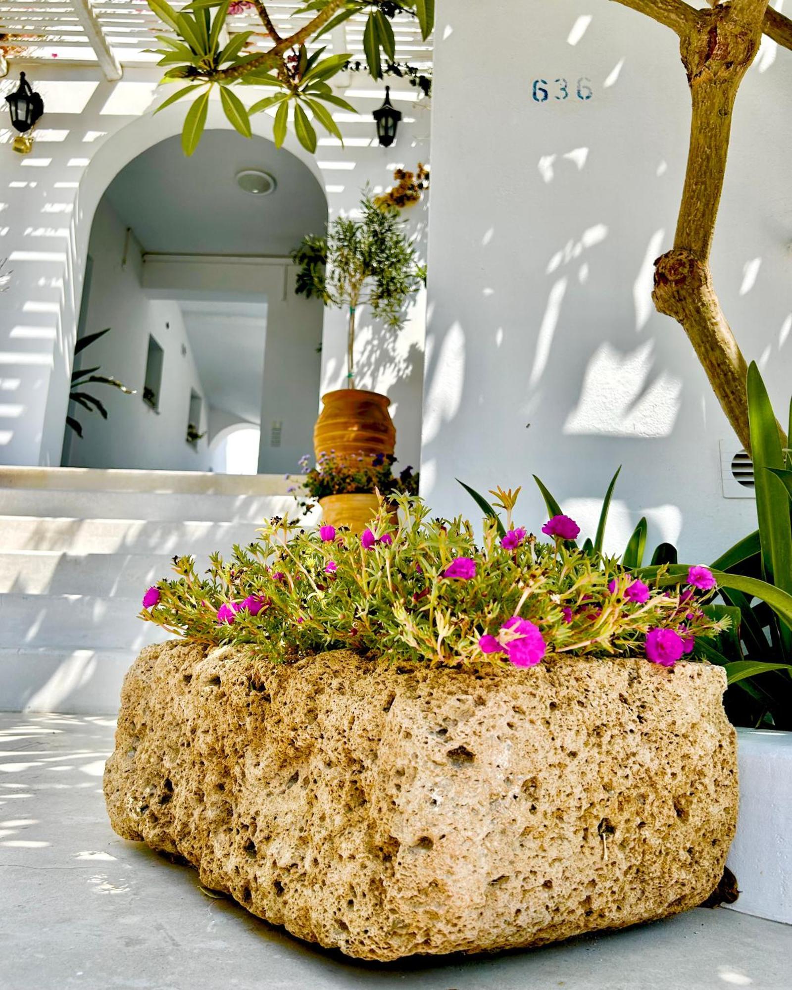 Anita Rooms & Suites Milos Adamantas (Milos) Exterior foto