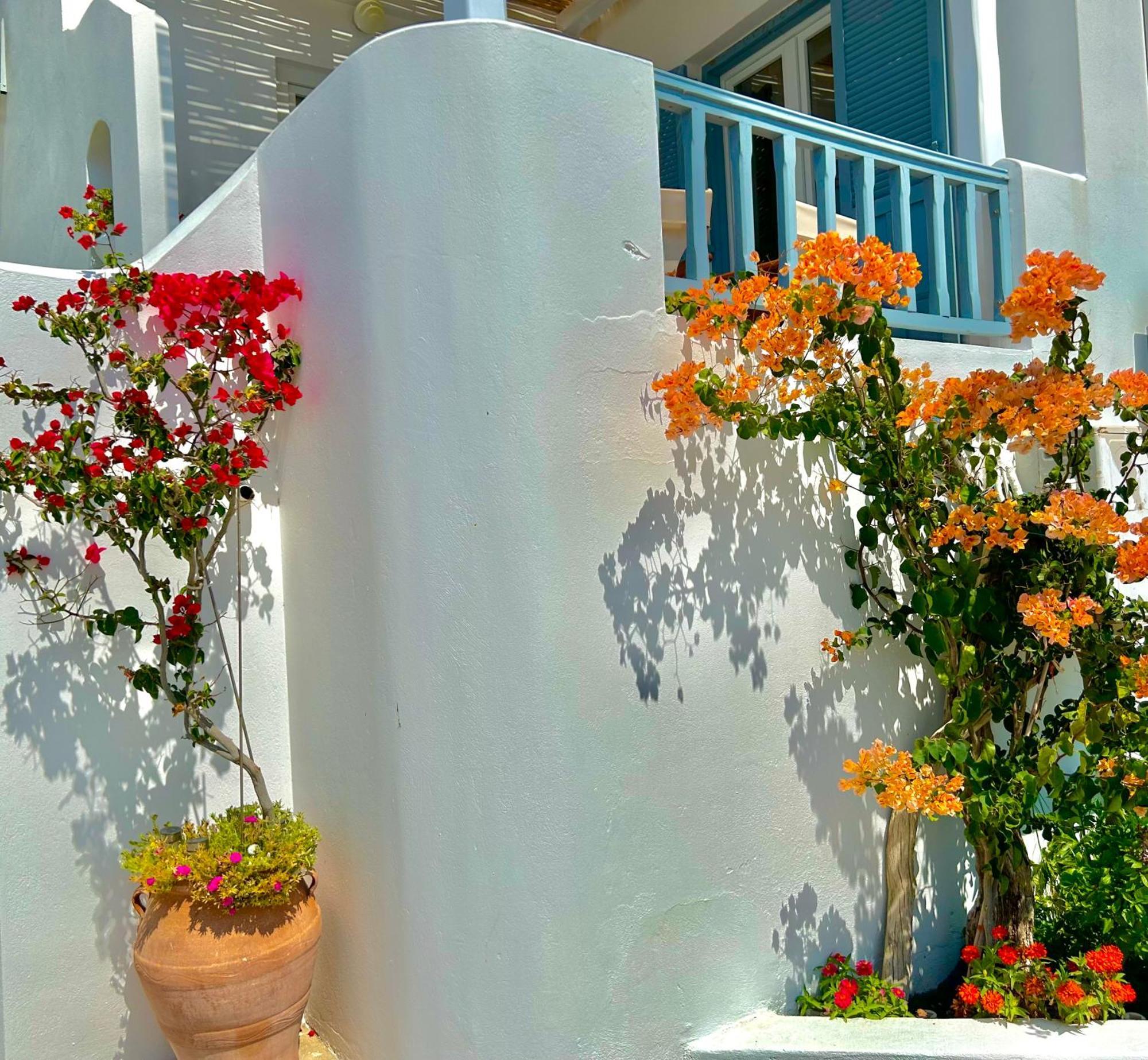 Anita Rooms & Suites Milos Adamantas (Milos) Exterior foto